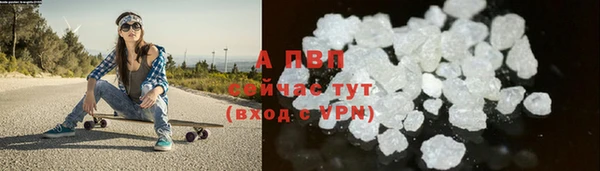 ешки Белокуриха