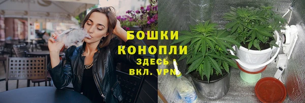 ешки Белокуриха