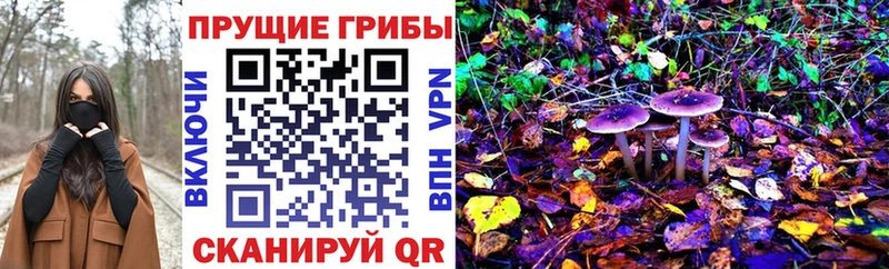 Галлюциногенные грибы прущие грибы  Купить  Усть-Илимск 